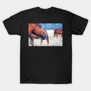 Mysteries of the equine mind T-Shirt